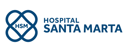 NOVO LOGOTIPO HSM - Neutro-04